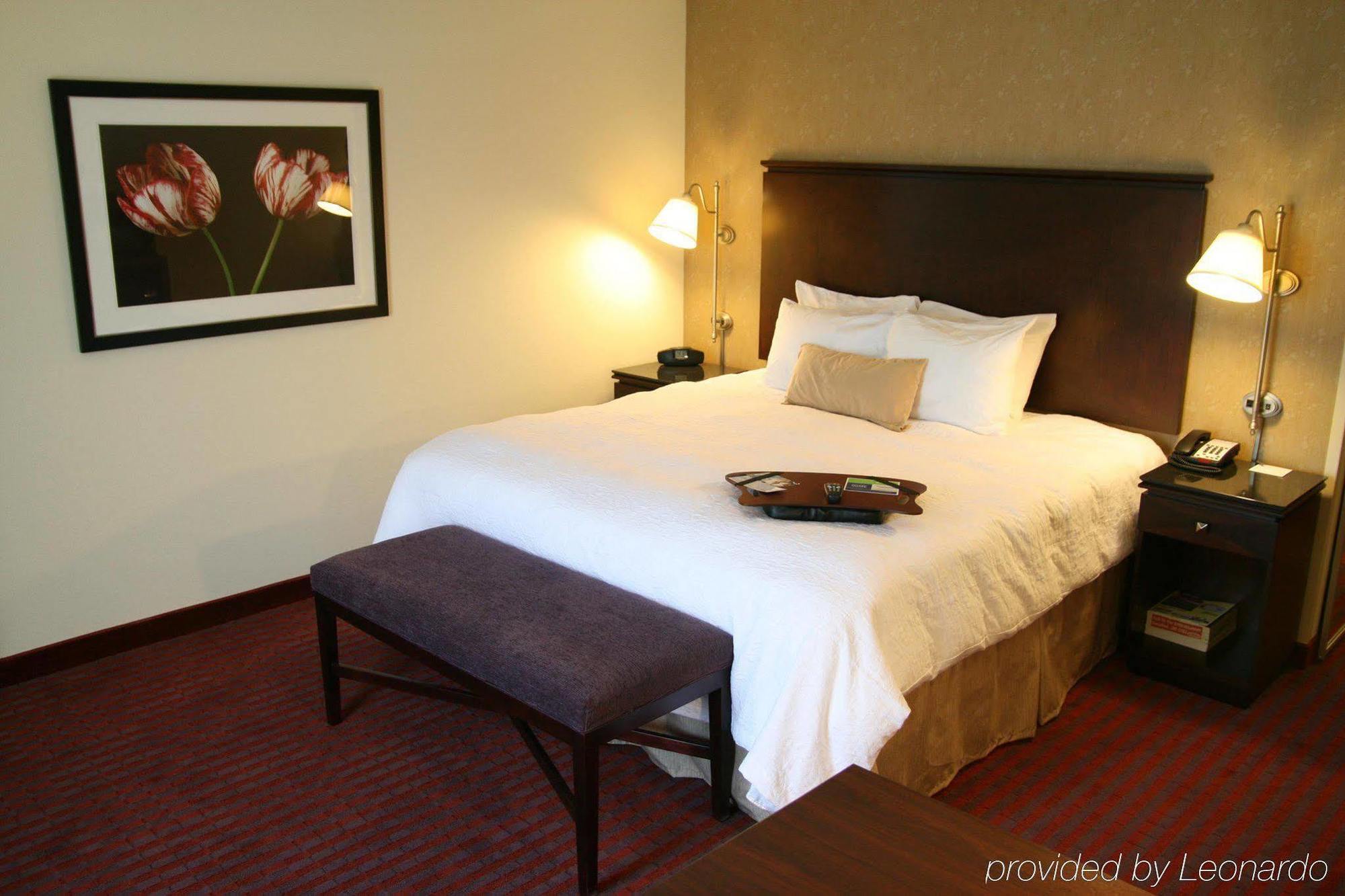 Hampton Inn Richmond - Airport Sandston Rum bild